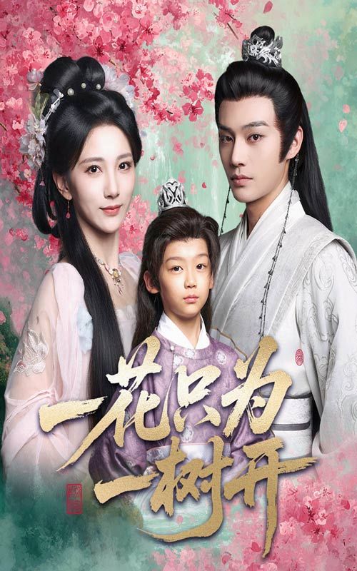 一花只为一树开柳甯高明君主演54集全集未删减版免费在线观看，百度网盘夸克网盘最新完整版资源分享下载  第1张