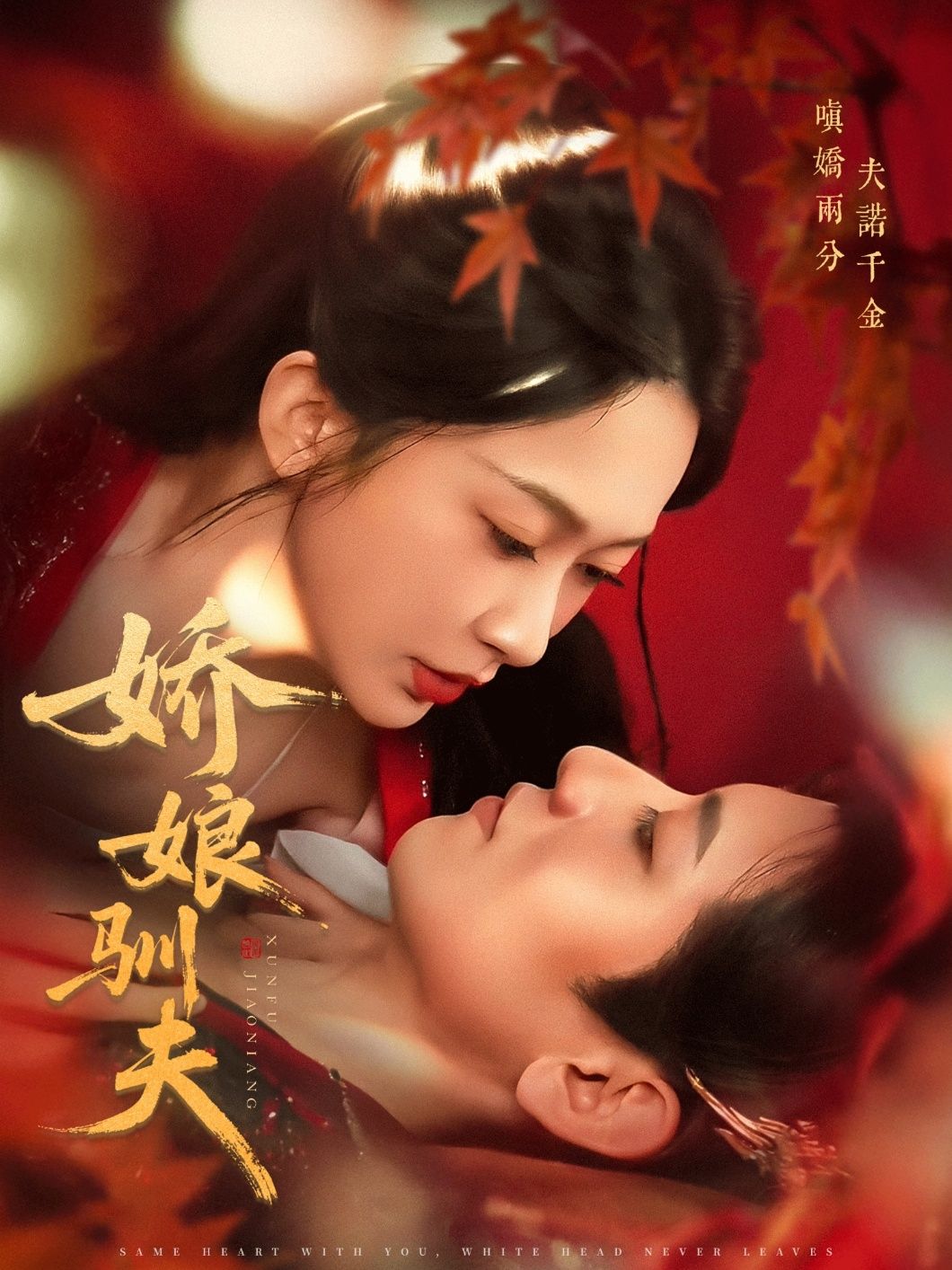 热门短剧娇娘驯夫82集全集 王金宝&迟宁宁主演 免费无广告在线观看 未删减版 百度网盘夸克网盘资源下载  第1张