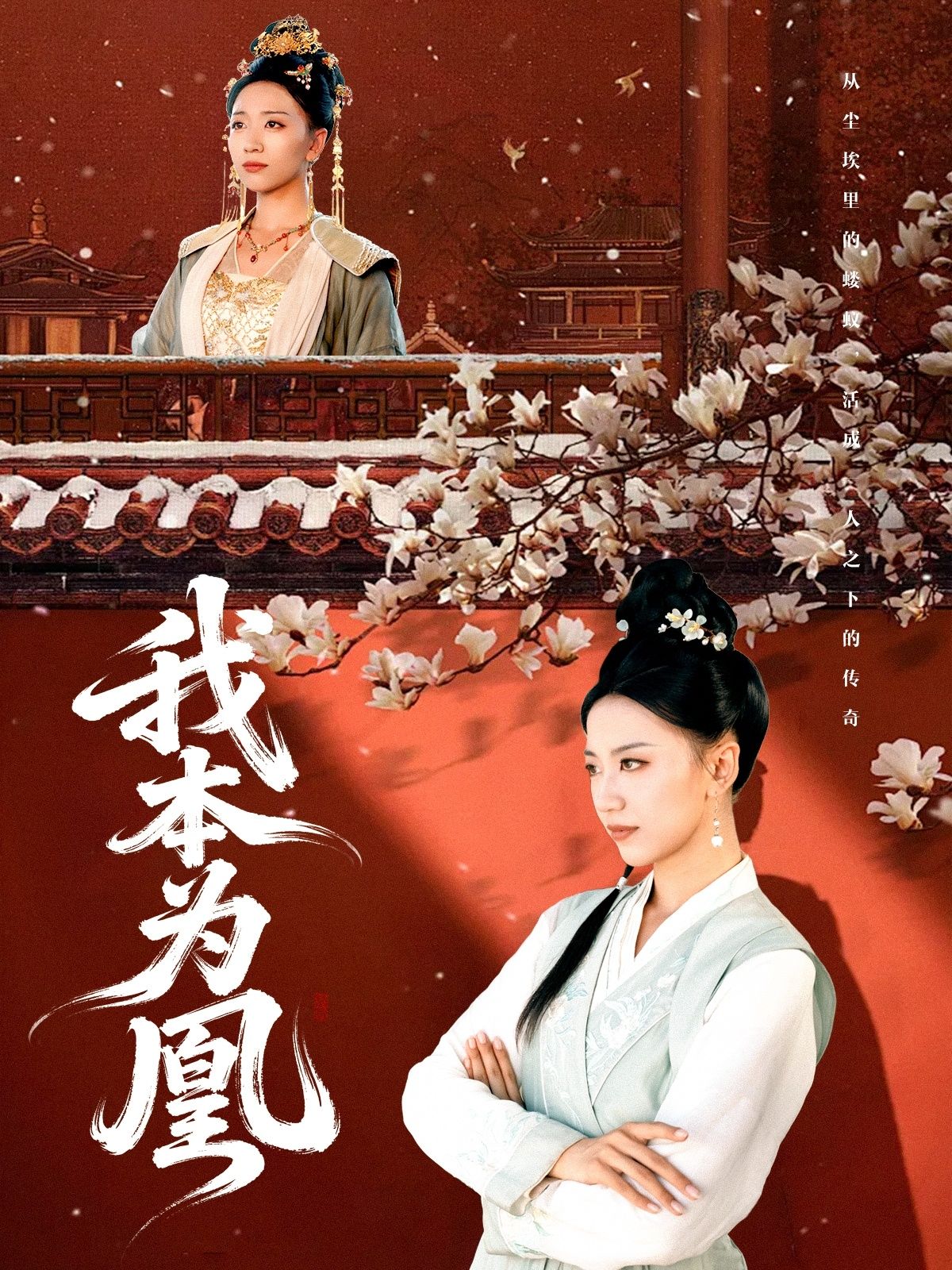 热门短剧我本为凰82集傅宇航刘继徽主演，全集完整版超清未删减免费在线观看，百度网盘夸克网盘免费资源分享下载  第1张