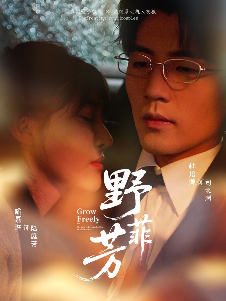 野芳菲60集全集完整版未删减 喻嘉琳杜培源主演 免费在线观看 百度网盘夸克网盘资源分享下载 第1张 野芳菲60集全集完整版未删减 喻嘉琳杜培源主演 免费在线观看 百度网盘夸克网盘资源分享下载 第1张