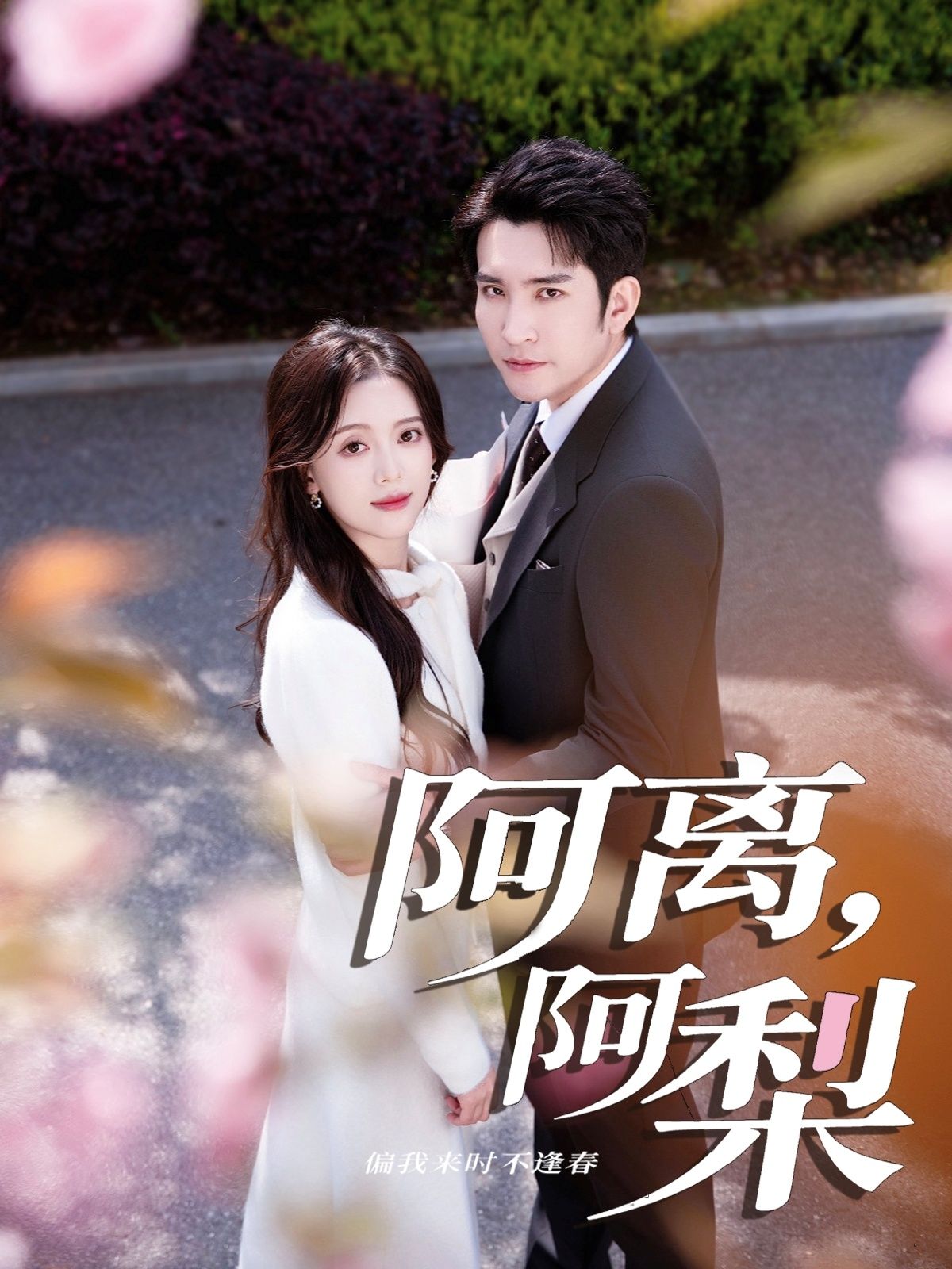 阿离阿梨60集全集完整版免费在线观看 未删减版 王已歌唐敬主演 百度网盘夸克网盘资源分享下载 第1张 阿离阿梨60集全集完整版免费在线观看 未删减版 王已歌唐敬主演 百度网盘夸克网盘资源分享下载 第1张