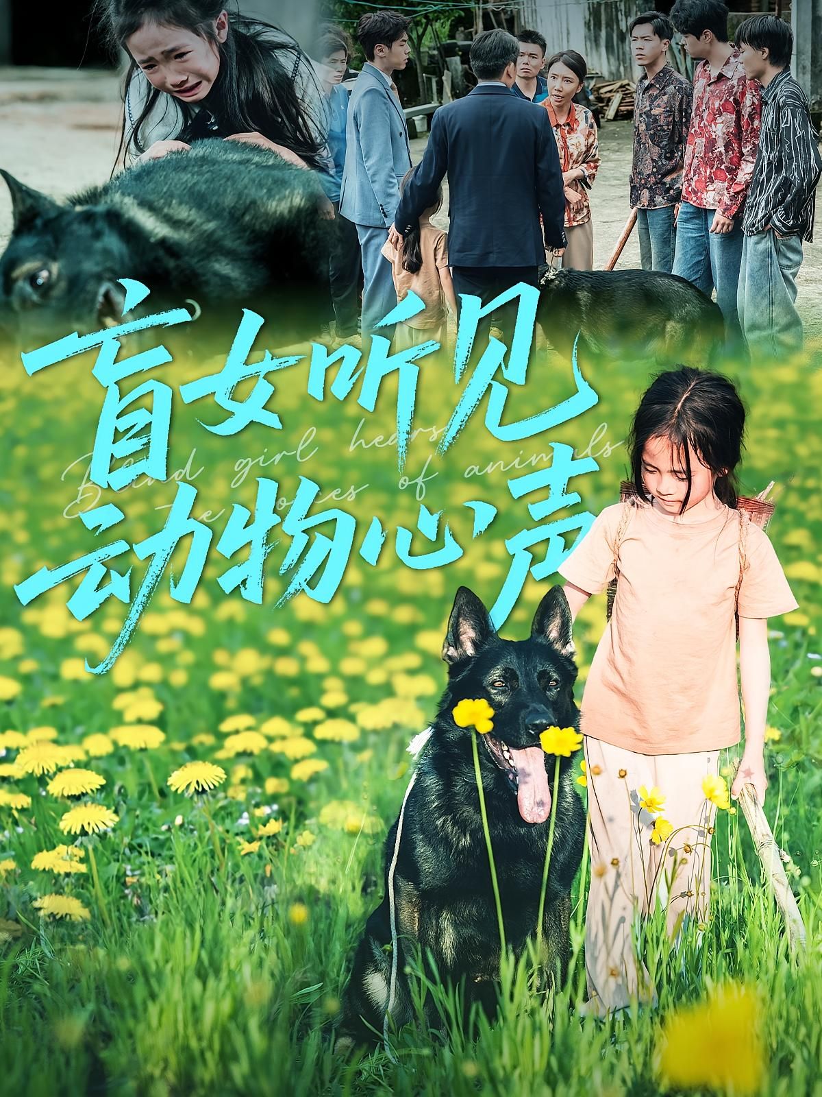 热门短剧盲女听见动物心声61集全集完整版免费在线观看未删减版,百度网盘夸克网盘资源免费分享下载 第1张 热门短剧盲女听见动物心声61集全集完整版免费在线观看未删减版,百度网盘夸克网盘资源免费分享下载 第1张