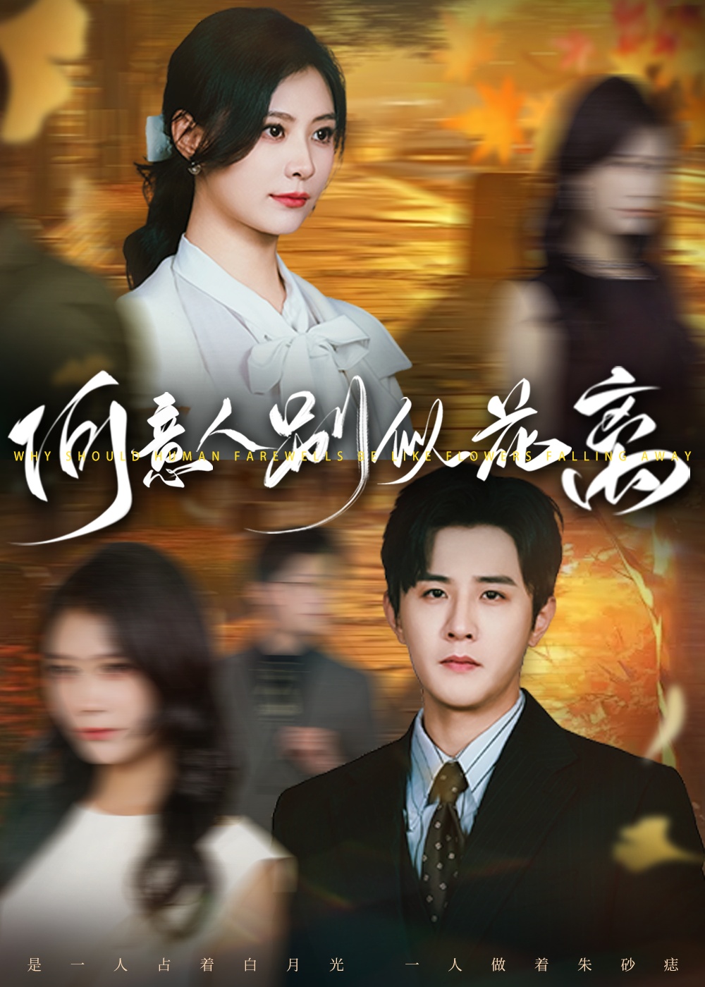 短剧《何意人别似花离》 全集免费在线观看，高清画质，大结局震撼揭晓  第1张