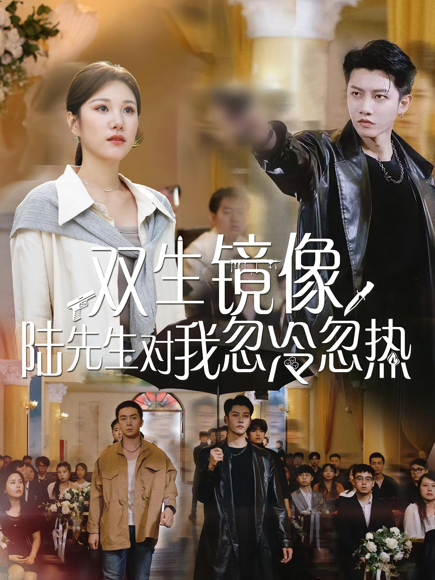 双生镜像陆先生对我忽冷忽热61集全集未删减版免费在线观看，百度网盘夸克网盘资源分享下载  第1张