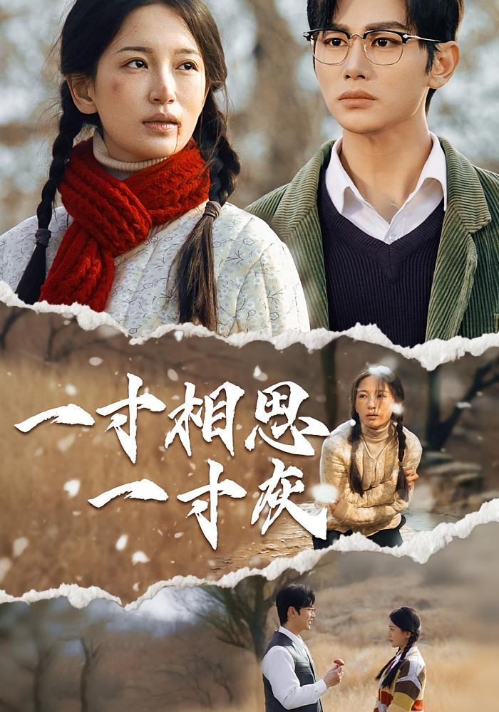 热门短剧一寸相思一寸灰43集全集完整版高清未删减版，免费在线观看播放，百度网盘夸克网盘资源分享下载  第1张