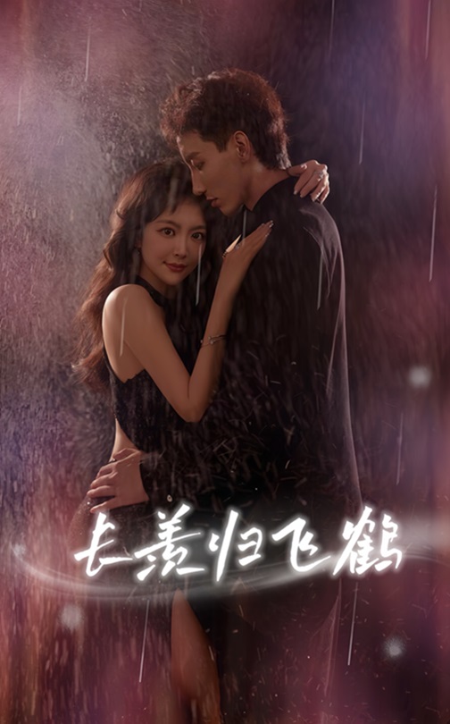 热门短剧《长羡归飞鹤 (70集) 霍文琦 长篇》 全集完整版免费观看在线播放未删减版资源，短剧百度网盘夸克网盘免费资源分享下载  第1张