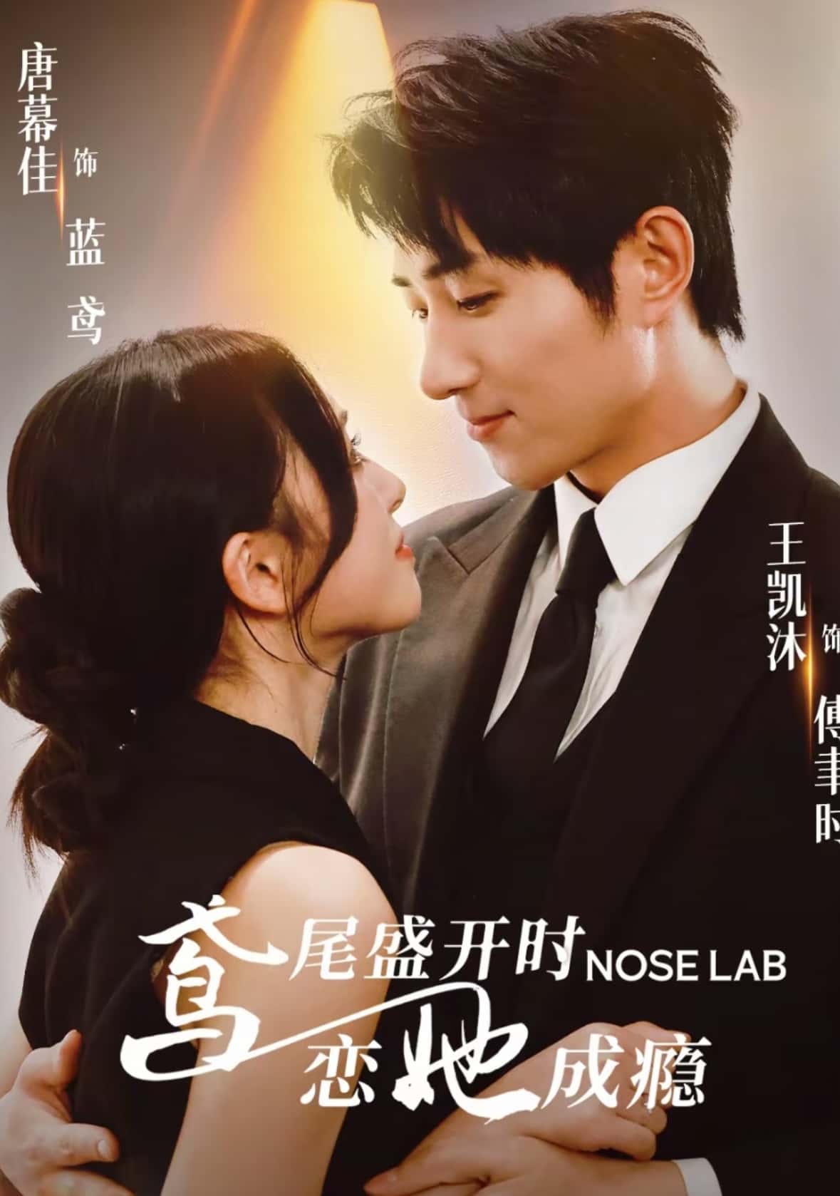 鸢尾盛开时恋她成瘾20集全集免费在线观看王凯沐唐幕佳主演未删减版百度网盘夸克资源稳定播放下载  第1张