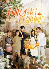 热门短剧有眼不识真锦鲤35集全集刘凯&尹玲主演未删减版免费在线观看+百度网盘夸克网盘资源下载  第1张