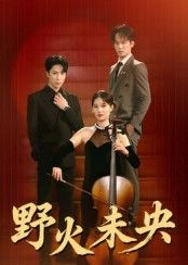 热门短剧野火未央40集张旭刘畅主演全集完整版未删减免费在线观看，百度网盘夸克网盘秒存资源分享下载  第1张