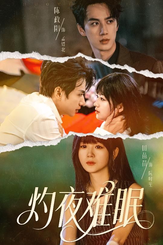 灼夜难眠60集全集完整版未删减 陈政阳＆田苗苗主演 免费在线观看 百度网盘夸克网盘资源速存分享下载  第1张