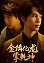 热门短剧金鳞化龙掌乾坤54集全集李红雨辛宜洋主演，免费在线观看未删减版，百度网盘夸克网盘资源下载  第1张