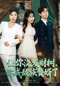 让你浇发财树，你成族敌赘婿了雷博昊贾予乐主演72集全集完整版更新完毕免费在线观看未删减版百度网盘夸克网盘资源分享下载  第1张