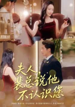 热门短剧夫人裴总说他不认识您75集全集 张淇皓尹晨攒主演 免费在线观看未删减版 百度网盘夸克网盘资源分享下载  第1张