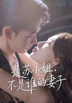 热门短剧是苏小姐不是谁的妻子全集完整版免费无广告在线观看，未删减版百度网盘夸克网盘资源分享下载  第1张