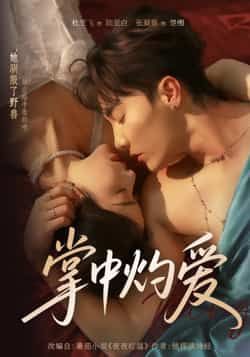 热门短剧掌中灼爱全集完整版未删减超清免费在线观看，百度网盘夸克网盘资源下载  第1张