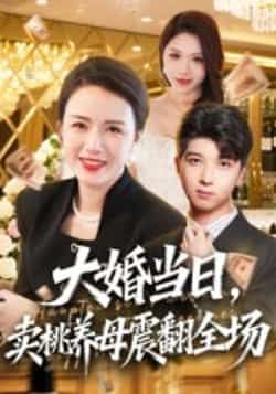 热门短剧大婚当日，卖桃养母震翻全场全集完整版实时更新免费在线观看未删减版，百度网盘夸克网盘免费资源分享下载  第1张