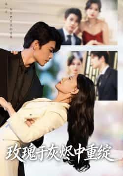 热门短剧玫瑰于灰烬中重绽全集完整版免费在线观看 未删减版播放 百度网盘夸克网盘资源免费分享下载  第1张