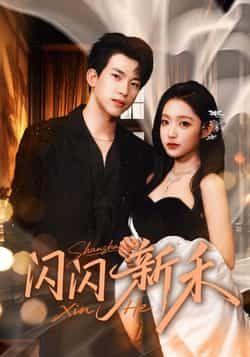闪闪新禾短剧全集完整版免费在线观看未删减版，百度网盘夸克网盘资源速存分享下载  第1张