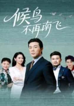 热门短剧《候鸟不再南飞》 全集完整版免费无卡顿在线观看播放未删减版资源，短剧百度网盘夸克网盘免费资源分享下载  第1张