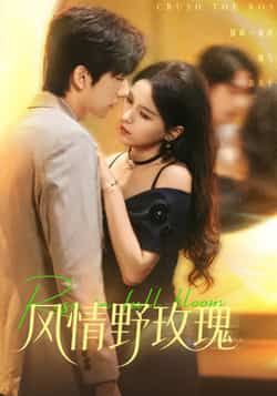 热门短剧风情野玫瑰全集完整版免费无广告在线观看未删减版,百度网盘夸克网盘资源分享下载 第1张 热门短剧风情野玫瑰全集完整版免费无广告在线观看未删减版,百度网盘夸克网盘资源分享下载 第1张