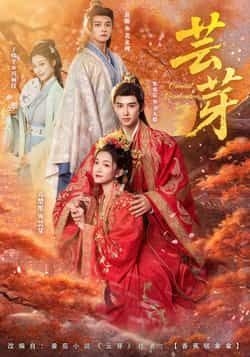 热门短剧芸芽全集完整版免费在线观看未删减版，无需注册播放，百度网盘夸克网盘免费资源分享下载  第1张