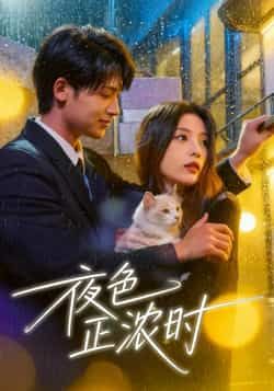 热门短剧夜色正浓时全集完整版未删减 实时更新免费在线观看 百度网盘夸克网盘资源分享下载  第1张