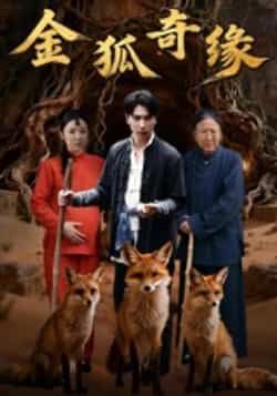 热门短剧金狐奇缘全集完整版免费无水印在线观看，未删减版资源分享，百度网盘夸克网盘免费下载播放  第1张