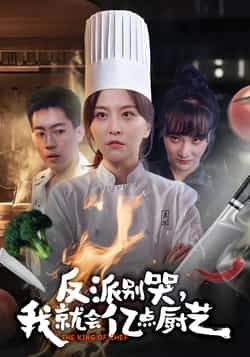 热门短剧反派别哭，我就会亿点厨艺全集更新完毕免费在线观看未删减版，百度网盘夸克网盘免费下载资源分享  第1张