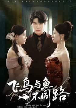 热门短剧飞鸟与鱼不同路全集完整版免费无卡顿在线观看播放未删减版，百度网盘夸克网盘免费资源分享下载  第1张