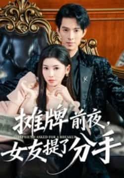 热门短剧摊牌前夜，女友提了分手全集完整版更新完毕免费在线观看未删减版，百度网盘夸克网盘免费资源分享下载  第1张