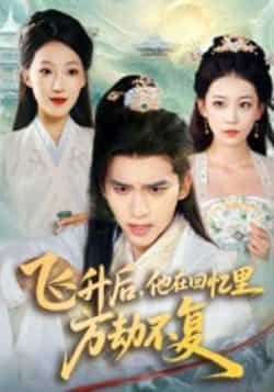 飞升后，他在回忆里万劫不复全集完整版免费无广告在线观看未删减版，百度网盘夸克网盘资源分享下载  第1张