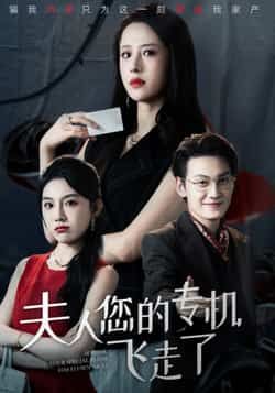 热门短剧《夫人您的专机飞走了》 全集完整版免费在线观看播放未删减版资源，短剧百度网盘夸克网盘资源免费分享下载  第1张