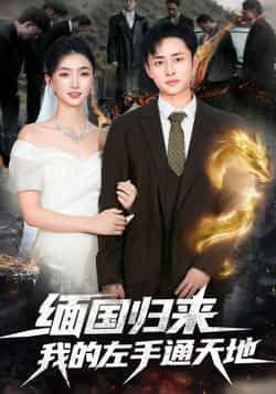 热门短剧缅国归来我的左手通天地全集完整版免费无水印在线观看，未删减版百度网盘夸克网盘资源分享下载  第1张