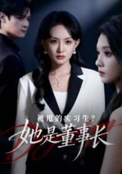 热门短剧被甩的实习生？她是董事长！全集完整版未删减免费在线观看，百度网盘夸克网盘资源分享下载